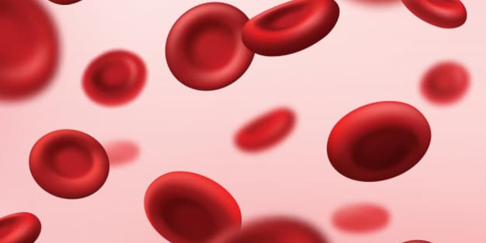 Blood Cells Red Background Medical Plasma Human Artery Hemoglobin Erythrocytes Hematology Medicine Red Blood Cells Vein Stream Body Vascular System Cancer Microbiology Science 8071 1527